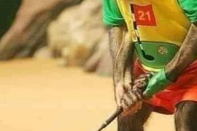 Bạn thích nhất môn thể thao nào nhất?