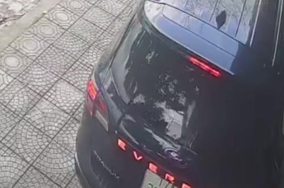 Pha lùi xe đi vào lòng đất của nữ tài xế